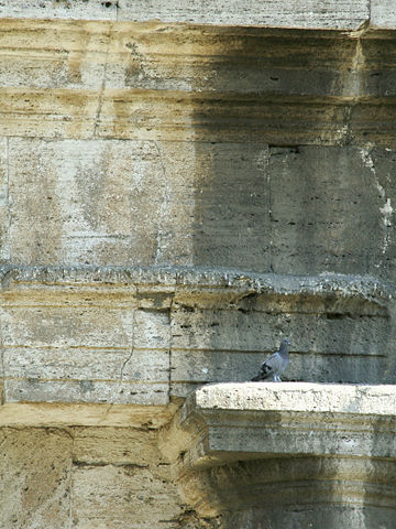 Image:Colosseum Damage and Restoration.jpg
