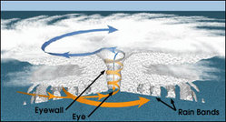 Structure of a tropical cyclone