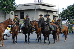 Mounted Colombian National Police unit on patrol, City of Medell&iacute;n.