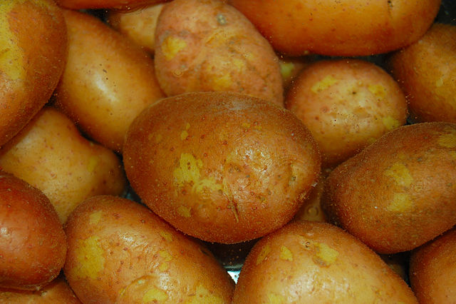 Image:Patates &agrave; l'eau.JPG
