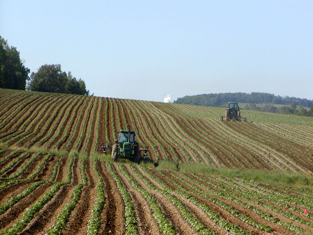 Image:Tractors in Potato Field.jpg