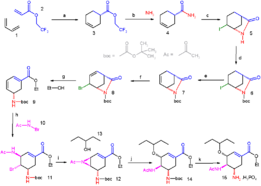 A synthesis designed by E.J. Corey for oseltamivir (Tamiflu&reg;).