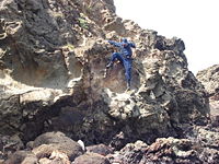 Fig.1. Police officer hung up with his belt at a sharp edge of a rock in vicinity of the Tenno beach, Japan.