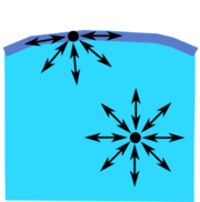 Diagram of the forces on a molecule of liquid.