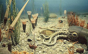 Artist impression of the Ordovician Sea.