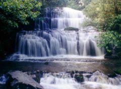 Purakaunui Falls, 17 km (11 mi) southwest of Owaka