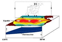 El Niño Conditions. Warm water pool approaches South American coast. Absence of cold upwelling increases warming.