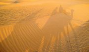 Sahara desert in Tunisia and shadows of camels with travelers