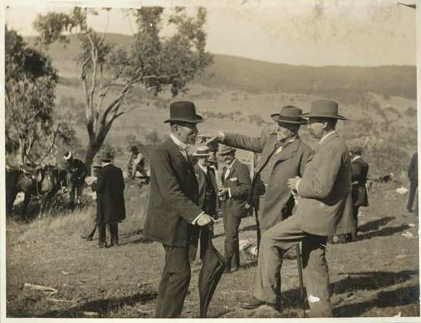 Image:Senators at Tumut-Luke.jpg