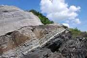 Ordovician-Silurian boundary exposed on Hoved&oslash;ya, Norway, showing the very marked difference between the light gray Ordovician calcareous sandstone and brown Silurian mudstone. The layers have been inverted (overturned) by the Caledonian orogeny.
