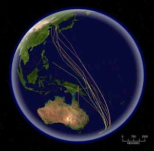 The routes of satellite tagged Bar-tailed Godwits migrating north from New Zealand. This species has the longest known non-stop migration of any species, up to 10,200 km (6,300 mi).