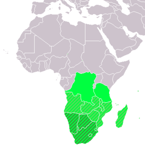&nbsp;&nbsp;&nbsp;&nbsp;&nbsp;Southern Africa (UN subregion) &nbsp;&nbsp;&nbsp;&nbsp;&nbsp;geographic, including above &nbsp;&nbsp;&nbsp;&nbsp;&nbsp;Southern African Development Community (SADC)
