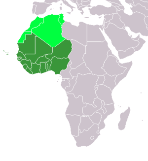 &nbsp;&nbsp;&nbsp;&nbsp;&nbsp;Western Africa (UN subregion) &nbsp;&nbsp;&nbsp;&nbsp;&nbsp;Maghreb