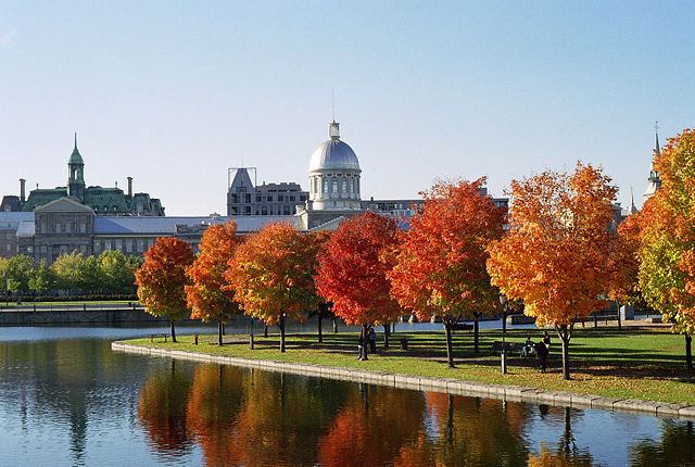 Image:March&eacute; Bonsecours and Foliage.jpg