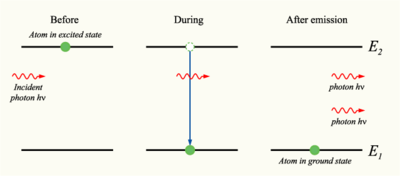 Stimulated emission (in which photons &ldquo;clone&rdquo; themselves) was predicted by Einstein in his kinetic derivation of E=h&nu;, and led to the development of the laser. Einstein's derivation also provoked further developments in the quantum treatment of light, the semiclassical model and quantum electrodynamics (see below).