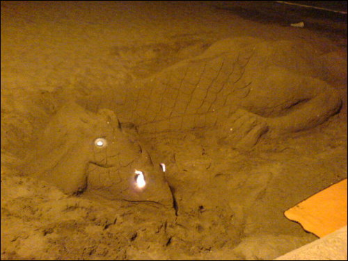 Image:Dragon del playa 2.jpg