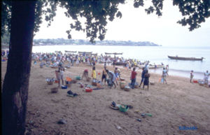 Fisherman landing their catch in S&atilde;o Tom&eacute;