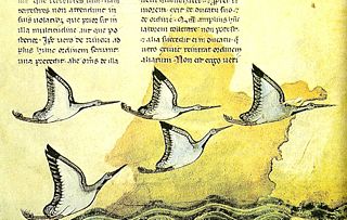 An image from an old copy of De arte venandi cum avibus.