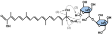 &alpha;&ndash;crocin formation mechanism