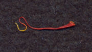 Close-up of a single crocus thread (the dried stigma). Actual length is about 20&nbsp;millimeters (0.8&nbsp;in).
