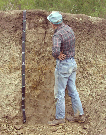 Image:Soil sci.jpg