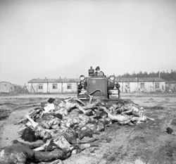 A British Army bulldozer pushes bodies into a mass grave at Belsen. 19 April 1945