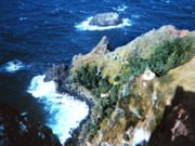 Pitcairn Island
