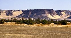 The Kaouar escarpment, forming an oasis in the T&eacute;n&eacute;r&eacute; desert.
