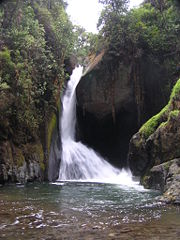 On the R&iacute;o Savegre, just below San Gerardo de Dota in the Talamanca Highlands of Costa Rica.