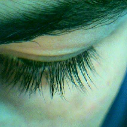 Image:Eyelashes.jpg