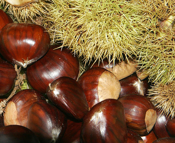 Image:Chestnuts02.jpg