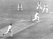 Bradman hooks English left-arm fast bowler Bill Voce during the 1936&ndash;37 series. The position of Bradman's left foot in relation to the stumps is an example of how he used the crease when batting.