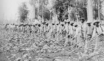 Image:Parchman prison convict labor 1911.jpeg.jpg