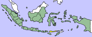 Flores is the island highlighted in yellow. The territory of Indonesia as a whole is in green.
