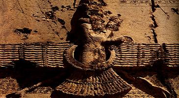 Image:Farvahar background.jpg