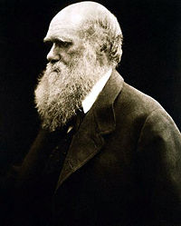 Julia Margaret Cameron&rsquo;s portrait of Darwin