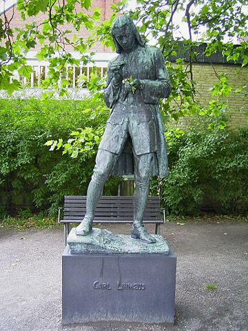 Image:Carl von Linn&eacute; i Lund.jpg