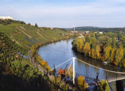 Vineyards on the Neckar river in the M&uuml;hlhausen area of Stuttgart