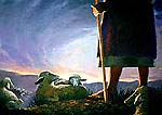 Good Shepherd. Copyrighted.