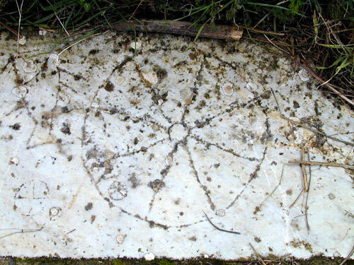 C:\Documents and Settings\张\�ୱ\index.5.jpg