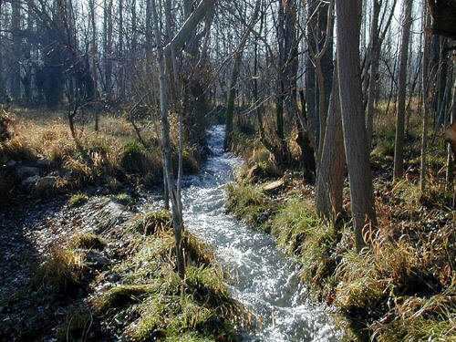 C:\Documents and Settings\张\�ୱ\index.18.jpg