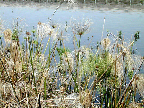 C:\Documents and Settings\张\�ୱ\index.48.jpg