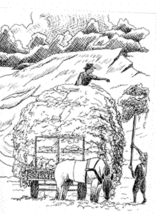 16.gif (47197 �r�`)