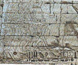 ����ʿ�ı�ʿ (62082 bytes)