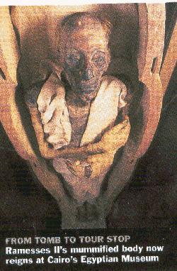 ������������ (76754 bytes)