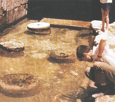 �����ǳ�(����) (123953 bytes)