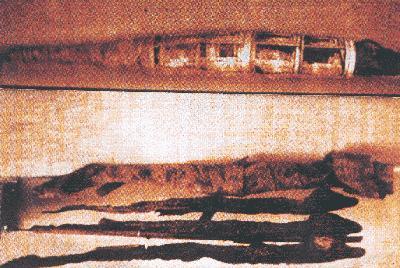 ��˵�������� (81719 bytes)