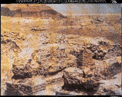 �����ǵ���ַ (136062 bytes)