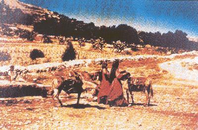 ��̮Ұ�صĿ� (85911 bytes)