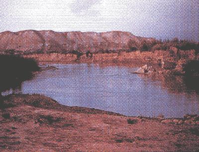 Լ���� (81947 bytes)